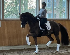 Isabell Werth and Viva Gold OLD