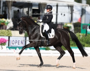 Evelyn Eger and Tabledance were the high scoring pair in the 2025 CDIO Wellington Grand Prix :: Photos © Astrid Appels