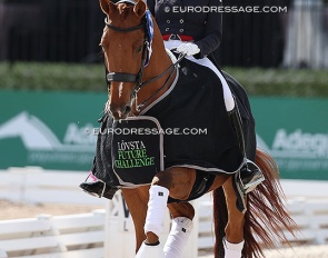 Brittany Fraser-Beaulieu and Jaccardo at the 2025 CDIO Wellington :: Photo © Astrid Appels