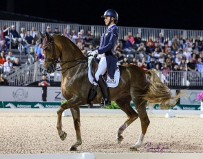 Adrienne Lyle and Helix at the 2025 CDI-W Wellington :: Photo © Sue Stickle