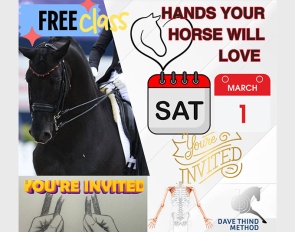 Online Class to Create “Hands Your Horse Will Love" - brought to you by Dave Thind Method