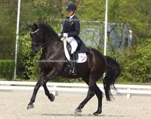 Michelle de Jonge and Pays Bas NL at the 2013 CDI  Roosendaal :: Photo © Astrid Appels