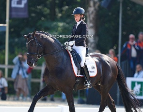 Nashville SW at the 2024 World Young Horse Championships :: Photo © Astrid Apels