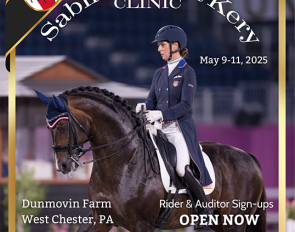 Sabine schut-Kery is a well sought after clinician. She is coming to Dunmovin Farm in West Chester, PA, 9 - 11 May 2025:: Photos © Jana Brennan / Priceless Equine Productions