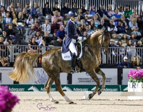 Adrienne Lyle and Helix at the 2025 CDI Wellington :: Photos © Sue Stickle