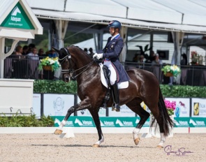 Marcus Orlob and Jane at the 2025 CDI Wellington :: Photo © Sue Stickle