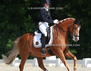 Inne Peytier and Schermeer Hof's Aladin at the 2014 CDI Compiegne :: Photo © Astrid Appels
