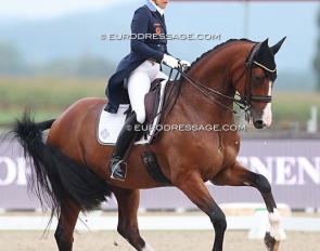 Tinne Vilhelmson and Devanto at the 2023 CDI Hagen :: Photo © Astrid Appels