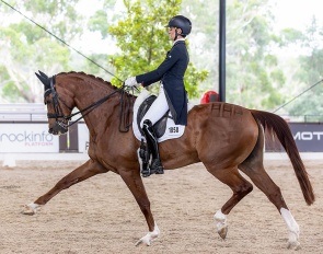 Sally Rizzuto on her small tour horse Quaterland at the 2025 CDI Bawley Point :: Photo © Amy-Sue Alston