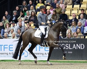 Daniel Bachmann Andersen test-riding Soulmate Askehaven in Herning :: Photo © Ridehesten