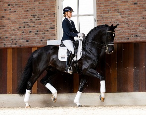 Willem van Normandi (by For Romance x Ferro)