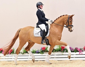 Be Gold vor dem Moore (by Bon Vivaldi x Sungold)
