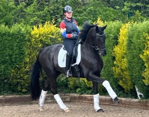 Salazar VIP (by San Amour x Quantensprung)