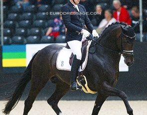 After winning the 2019 World Young Horse Championships, Zucchero tragically passed away following a colic attack :: Photo © Astrid Appels