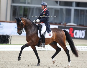 Sintano van Hof Olympia at the 2021 European Championships in Hagen :: Photo © Astrid Appels
