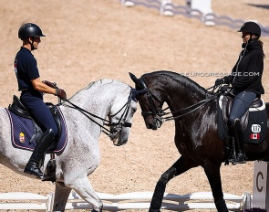 Not everything in the horse world is black and white :: Photo © Astrid Appels