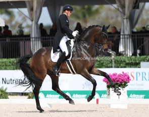 Frederic Wandres and Joy Game at the 2024 CDI Wellington :: Photo © Astrid Appels