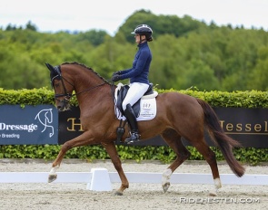 Betina Jaeger on Fredensdals Impressive (by Imposantos x De Noir) :: Photo © Ridehesten
