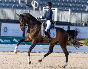 Estroso Di Fonteabeti Ymas (by Everdale x Don Primus)