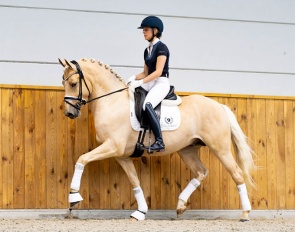 First Design (by First Class Golden White x Noir de Luxe) 