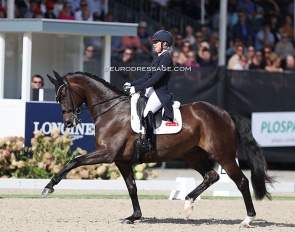 Sadie Smith and Swanmore Dantina at the 2022 World Young Horse Championships in Ermelo :: Photo © Astrid Appels