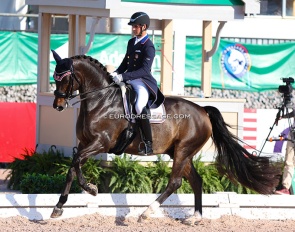 Christian Simonson and Son of a Lady at the 2023 CDI Wellington :: Photo © Astrid Appels