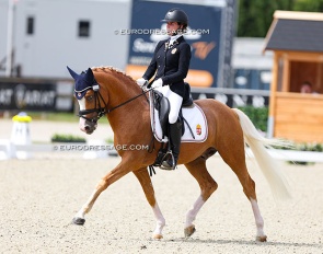 Herzkönig NRW at the 2024 European Pony Championships :: Photo © Astrid Appels