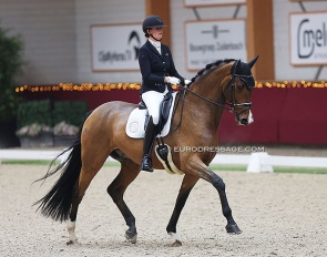 Jorinde Verwimp and No Surrender at 2024 CDI Kronenberg Indoor :: Photo © Astrid Appels