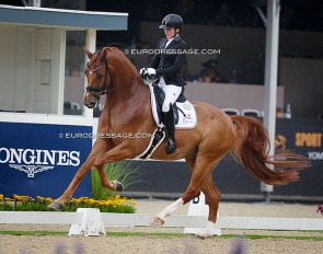 Jennifer Stein on Bernadette Brune's Enrico de Hus at the 2024 World Young Horse Championships :: Photo © Astrid Appel