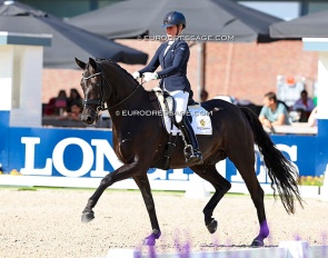 Anna Svanberg and Vidar at the 2024 World Young Horse Championships :: Photo © Astrid Appels
