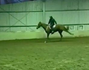Screen capture from Heath Ryan's alleged animal abuse video