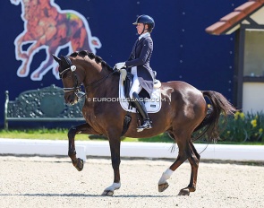 Laurence Vanommeslaghe on Edison at the 2022 CDI Hagen :: Photo © Astrid Appels