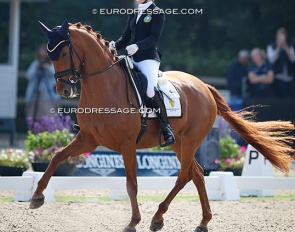 Lovisa Wessbladk on Simmebros De Luze at the 2024 World Young Horse Championships :: Photo © Astrid Appels