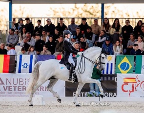 Jenni Matilda Schmechel and Zagal Azores at the 2025 CDI Camarma de Esteruelas (Las Cadenas) :: Photo © Lily Forado