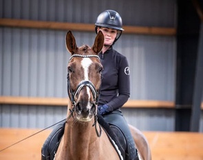  Izan de L'Or Høivang (by De L'Or x Fidermark)