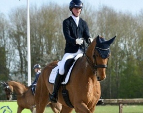Rubin Regal (by Rubin Royal x Dimaggio)