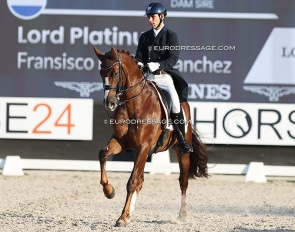 Spanish team newcomer Francisco Benitez on Lord Platinum :: Photo © Astrid Appels