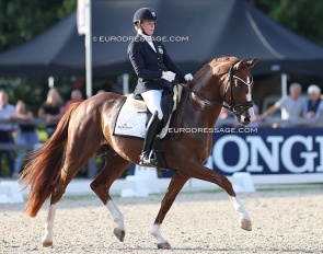 Jeanna Hogberg and Severucci HT at the 2024 World Young Horse Championships :: Photo © Astrid Appels