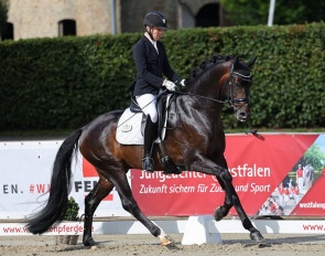 Belgian Dries van Dijck on the 4-year old stallion Du Weißt Schon Wer :: Photo © LL-foto