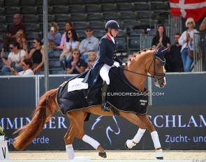 Fiona Bigwood and Quinn G win the 7-year old preliminary test at the 2025 World Young Horse Championships :: Photos © Astrid Appels