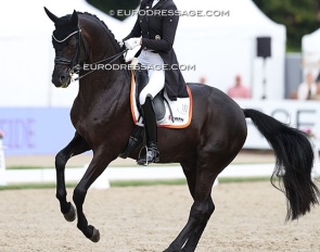 Leonie Richter and Most Wanted Nero at the 2025 World Young Horse Championships :: Photo © Astrid Appels