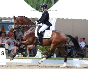 Alvaro Rodriguez Sidcar on DC-10 at the 2025 Hanoverian Young Horse Championships :: Photo © Astrid Appels