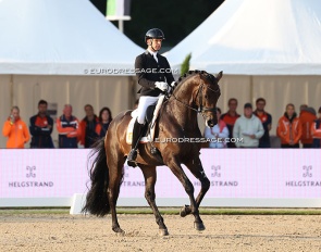 Bart Veeze and Roman Empire at the 2025 World Young Horse Championships :: Photo © Astrid Appels
