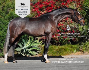 Romeo EDI (by Lord Romantic x Warkant)