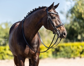Knappet (by De Niro x Westpoint)
