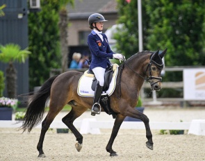Nice One at the 2024 European Pony Championships