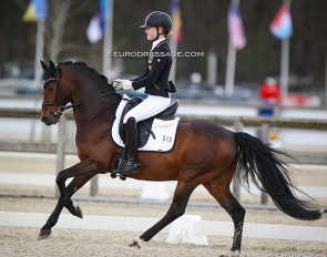 Clara Paschertz and Celebration WE at the 2022 CDI Opglabbeek :: Photo © Astrid Appels