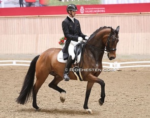 Eric Guardia Martinez and Hilus MHB competing in Denmark in 2023 :: Photo © Ridehesten