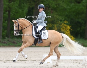 Diamond Blue at the 2024 CDIO Compiegne :: Photo © Astrid Appels