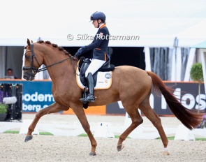 Rixt van der Horst and Fonq at the 2025 European Para Dressage Championships :: Photo © Silke Rottermann